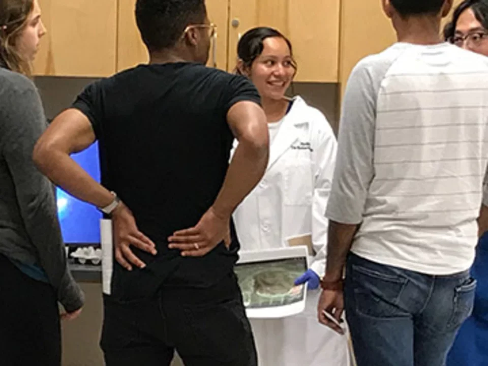 De Robertis Team 2017