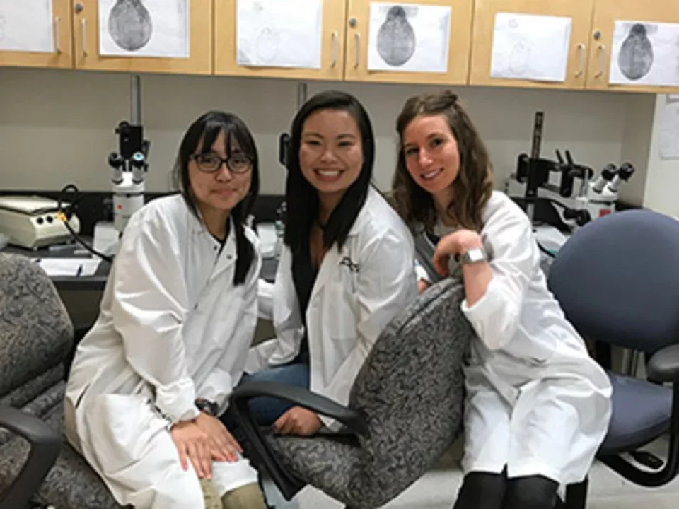 De Robertis Team 2017