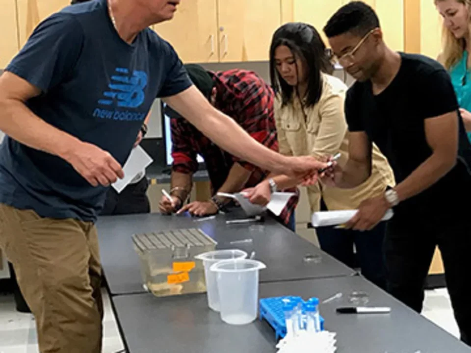 De Robertis Team 2017