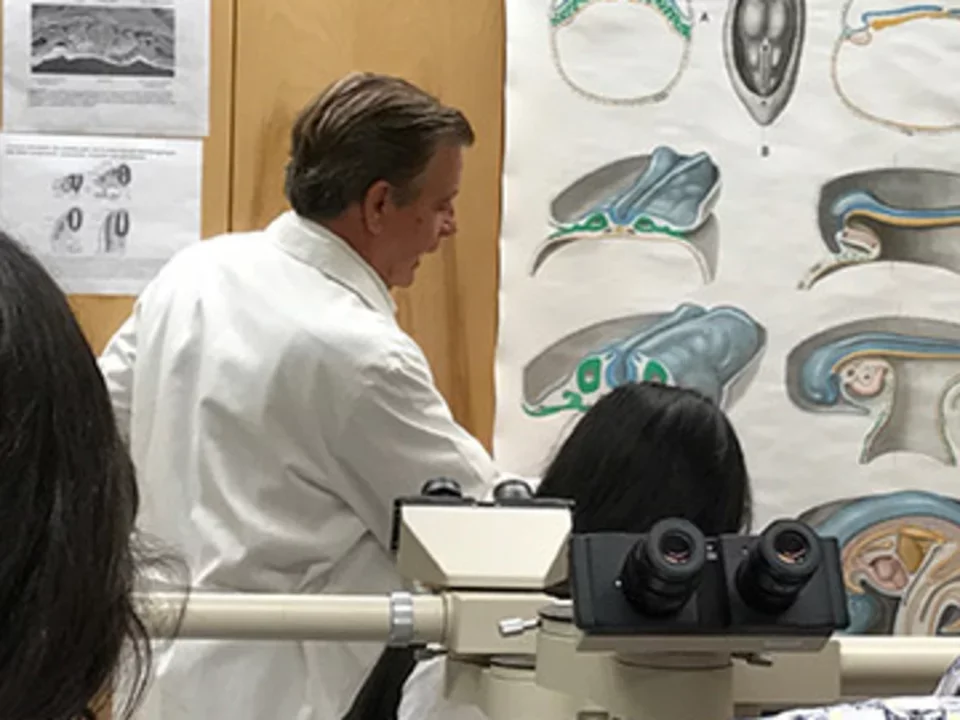 De Robertis Team 2017